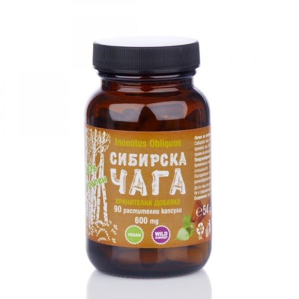 Сибирска чага